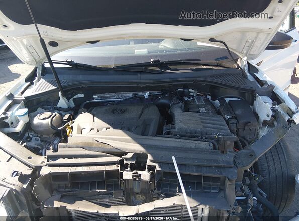 3VV8B7AX1PM086123 2023 VOLKSWAGEN TIGUAN White Հետևի տեսք