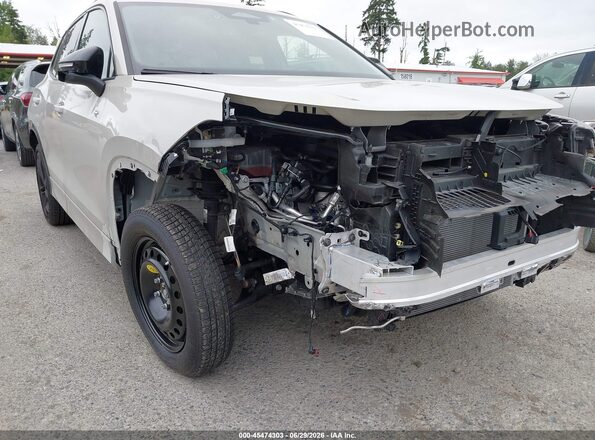3VVGR7RM9SM072027 2025 VOLKSWAGEN TIGUAN Cream 