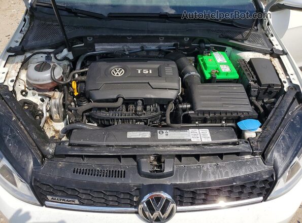 3VWH17AU8HM533438 2017 VOLKSWAGEN GOLF White Սալոնի հետևի տեսք