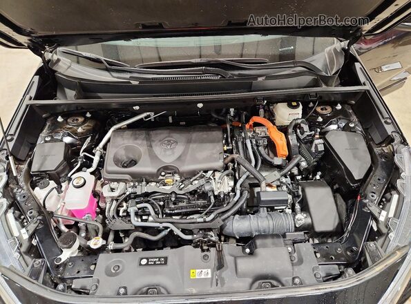 4T3T6RFV2RU156830 2024 TOYOTA RAV4 Black VIN կոդի պիտակի տեսք