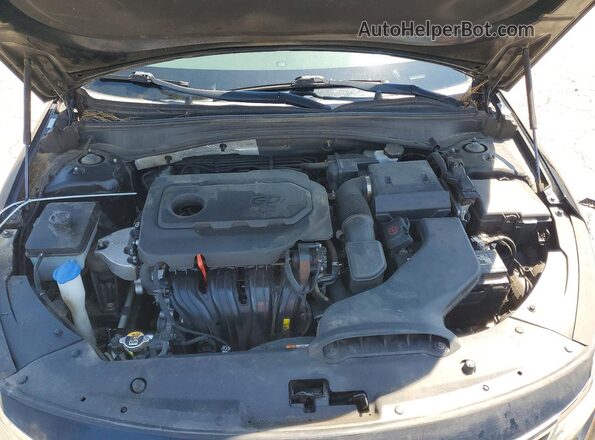 5XXGT4L34KG299965 2019 KIA OPTIMA Black 