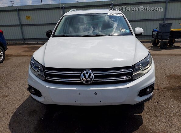 WVGAV7AX7GW564189 2016 VOLKSWAGEN TIGUAN White Vista trasera