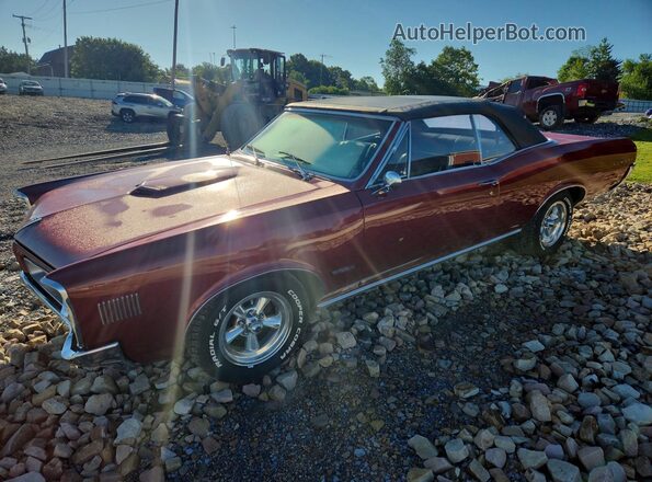 237676P248042 1966 PONTIAC LEMANS RWD Red Tył lewy