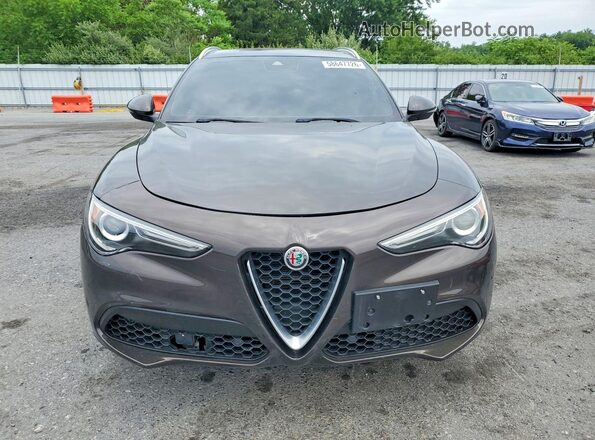 ZASPAKBN2K7C36294 2019 ALFA ROMEO STELVIO Brown უკანა ხედი