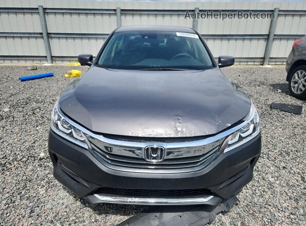 JHMCR6F33HC006651 2017 HONDA ACCORD Серый Вид сзади