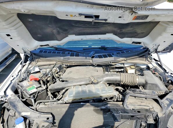 1FTFW1E80MKD33676 2021 FORD F150 White 