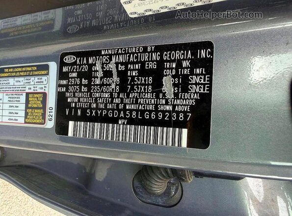 5XYPGDA58LG692387 2020 KIA SORENTO Синий Вид задней части салона