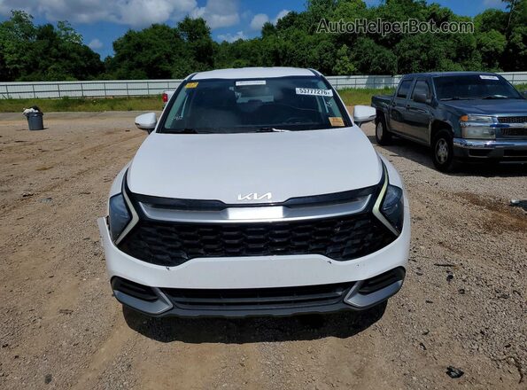 5XYK33AF3PG091404 2023 KIA SPORTAGE White უკანა ხედი