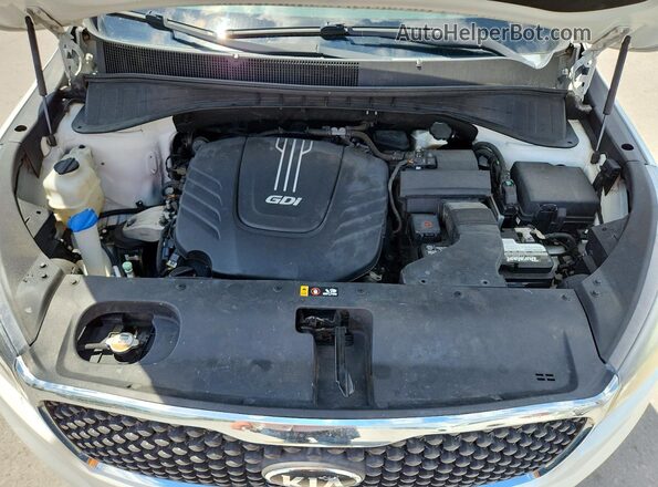 5XYPG4A59GG054946 2016 KIA SORENTO White VIN sticker view