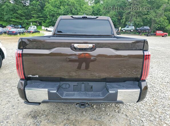 5TFMA5DB7SX305948 2025 TOYOTA TUNDRA Коричневый Вид салона спереди