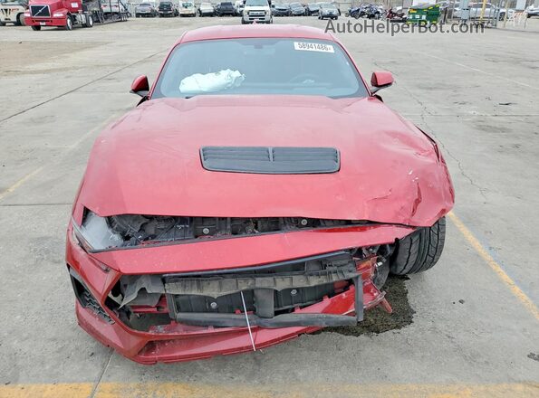 1FA6P8CF8R5400463 2024 FORD MUSTANG Red Widok z tyłu