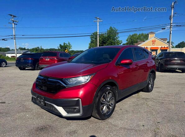 5J6RW2H56LL018663 2020 HONDA CR-V Burgundy 