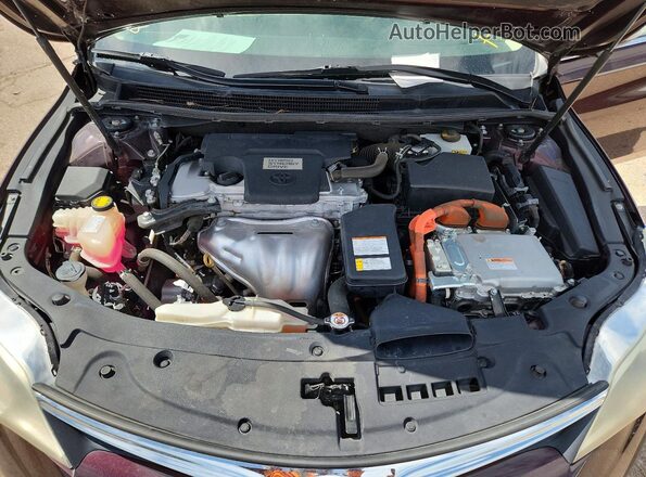 4T1BD1EB2GU051396 2016 TOYOTA AVALON Purple 