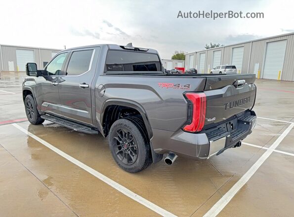 5TFMA5DB6RX134104 2024 TOYOTA TUNDRA Gray 