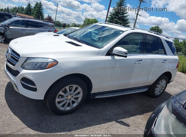 4JGDA0EB2GA752176 2016 MERCEDES-BENZ GLE 300D White Панорамний вид салону 360°