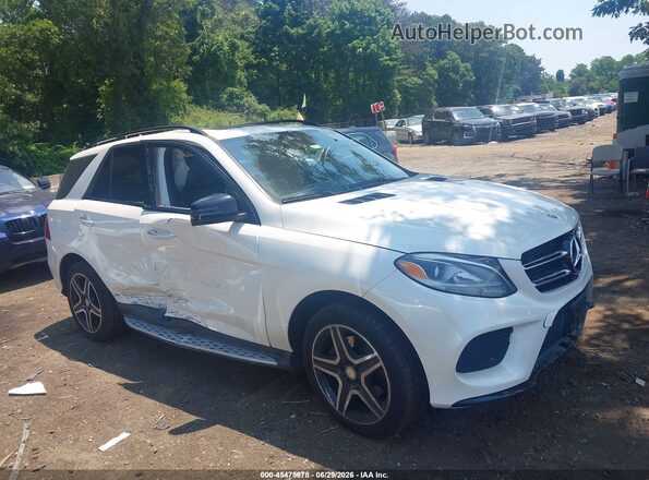 4JGDA5HB0GA685876 2016 MERCEDES-BENZ GLE 350 White Вид задньої частини салону