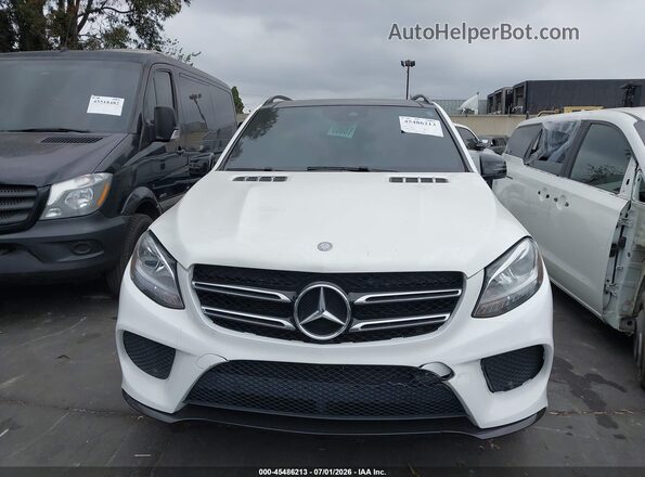 4JGDA5HB5HA913159 2017 MERCEDES-BENZ GLE 350 White Вид щитка приладів