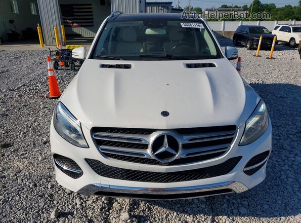 4JGDA5HB7HA987019 2017 MERCEDES-BENZ GLE White Vista frontal