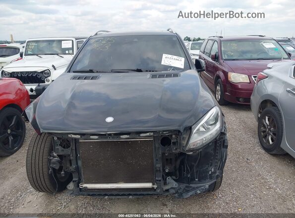 4JGDA5JB1GA803301 2016 MERCEDES-BENZ GLE 350 Black Вид задньої частини салону
