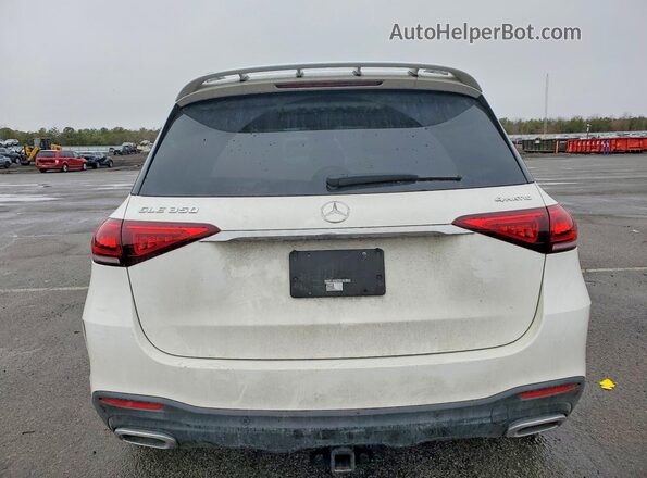4JGFB4KB0LA242310 2020 MERCEDES-BENZ GLE Белый Вид сзади