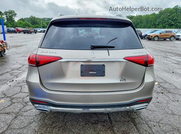 4JGFB4KBXLA062235 2020 MERCEDES-BENZ GLE Silver Вид ззаду