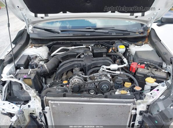 4S4GUHM69R3740430 2024 SUBARU CROSSTREK White Widok z tyłu