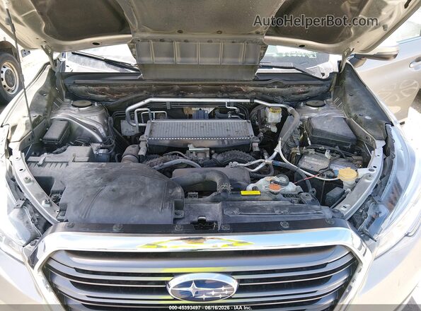 4S4WMAMD7K3460464 2019 SUBARU ASCENT Gold Widok z tyłu