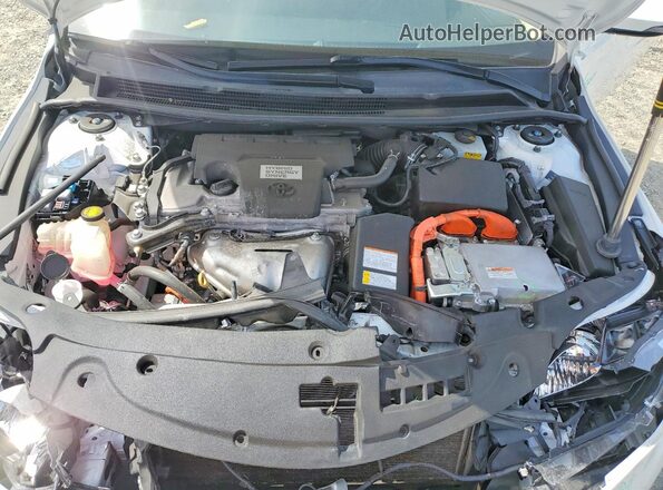 4T1BD1EB1GU049655 2016 TOYOTA AVALON White Widok wnętrza z tyłu