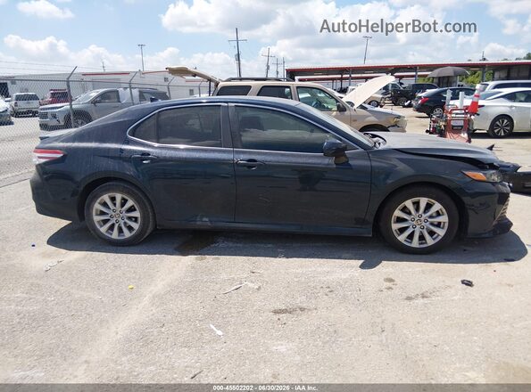 4T1C11AK0LU973131 2020 TOYOTA CAMRY Blue Вид задньої частини салону
