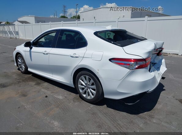 4T1C11AK7LU893633 2020 TOYOTA CAMRY White უკანა მარცხენა