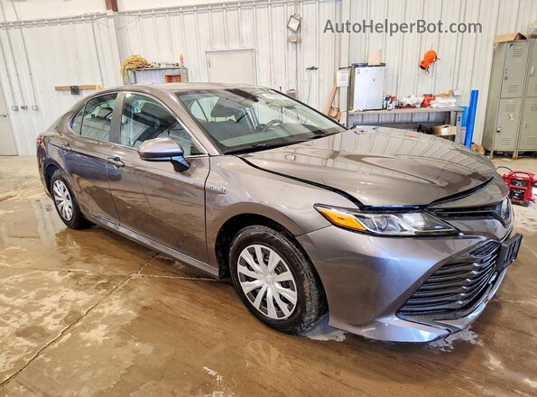 4T1C31AK4LU532855 2020 TOYOTA CAMRY Серый 