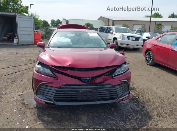 4T1C31AK4MU561810 2021 TOYOTA CAMRY Красный Вид задней части салона