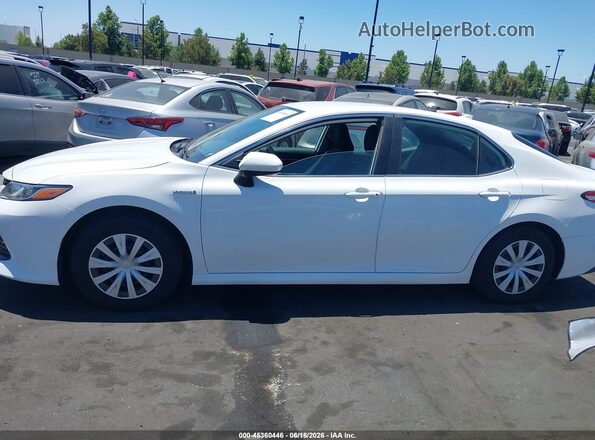 4T1C31AK6LU013824 2020 TOYOTA CAMRY White 