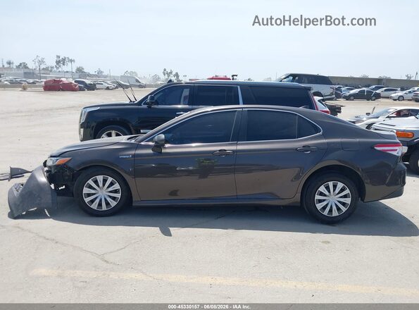 4T1C31AK9LU530647 2020 TOYOTA CAMRY Gray Սալոնի 360 աստիճան տեսք