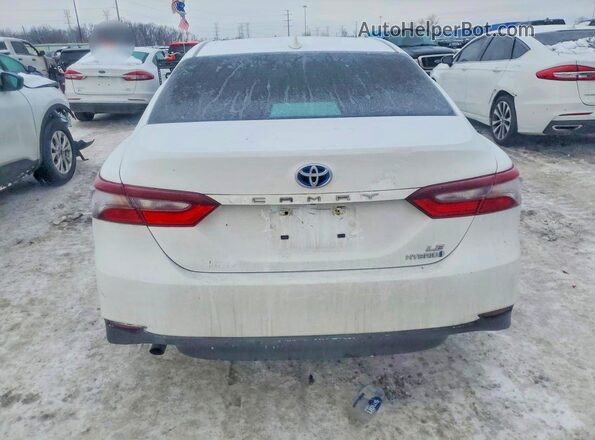 4T1C31AKXPU608908 2023 TOYOTA CAMRY White Вид ззаду