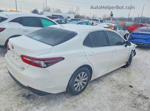 4T1C31AKXPU608908 2023 TOYOTA CAMRY White Задня права чверть