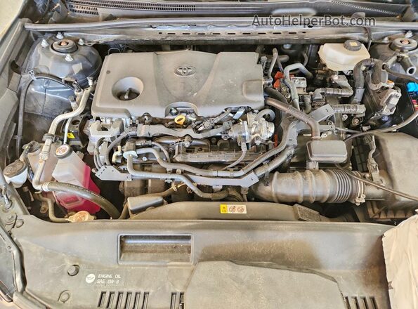 4T1DAACK1SU097122 2025 TOYOTA CAMRY Gray 