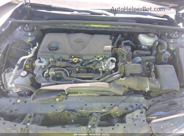 4T1DAACK1SU109527 2025 TOYOTA CAMRY Gray Вид ззаду