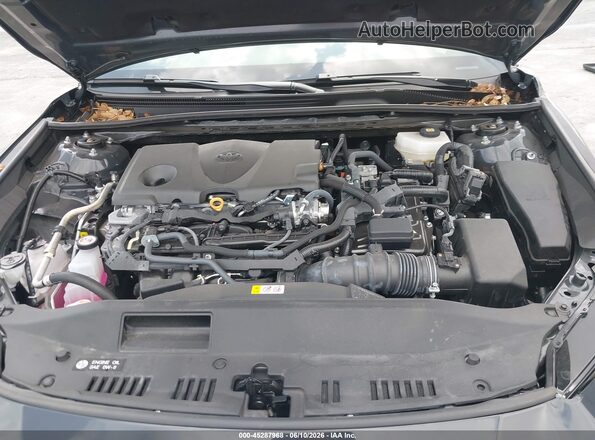 4T1DAACK1SU184826 2025 TOYOTA CAMRY Серый Вид сзади