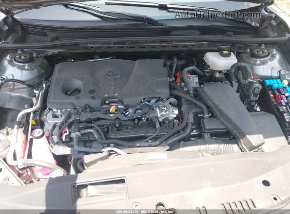4T1DAACK1SU517123 2025 TOYOTA CAMRY Gray Widok z tyłu