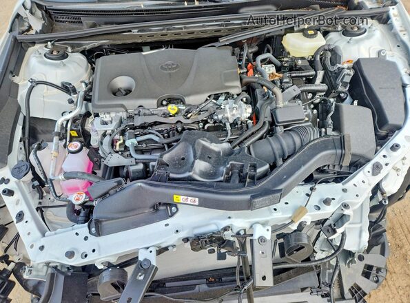 4T1DAACK3SU629423 2025 TOYOTA CAMRY White 