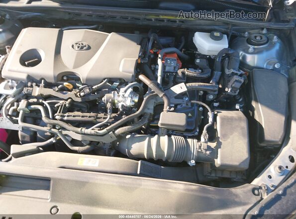 4T1DAACK8SU520195 2025 TOYOTA CAMRY Gray Widok z tyłu