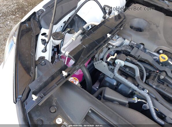 4T1DAACKXTU266930 2026 TOYOTA CAMRY Белый 