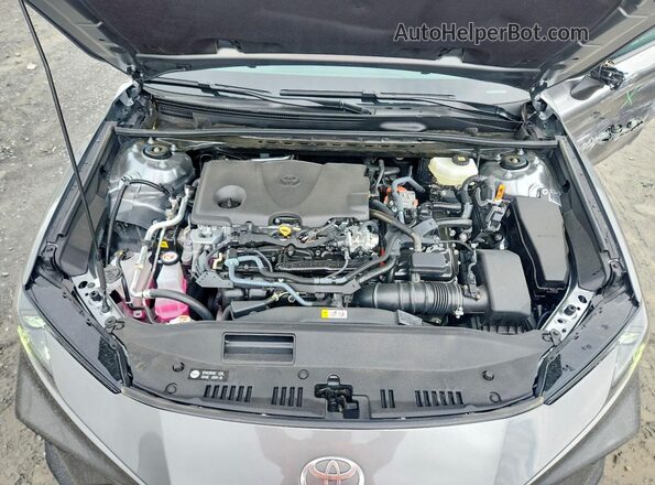 4T1DAACKXTU699048 2026 TOYOTA CAMRY Серый Вид задней части салона
