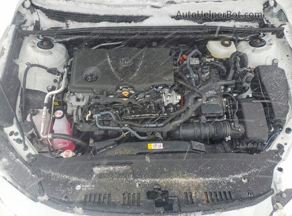 4T1DBADKXSU030059 2025 TOYOTA CAMRY Белый 