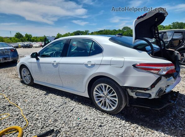 4T1F11AK3LU873604 2020 TOYOTA CAMRY White Հետևի ձախ
