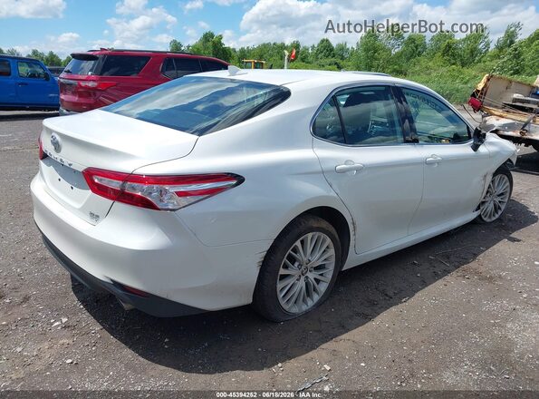 4T1F11BK7LU005233 2020 TOYOTA CAMRY White Tył prawy