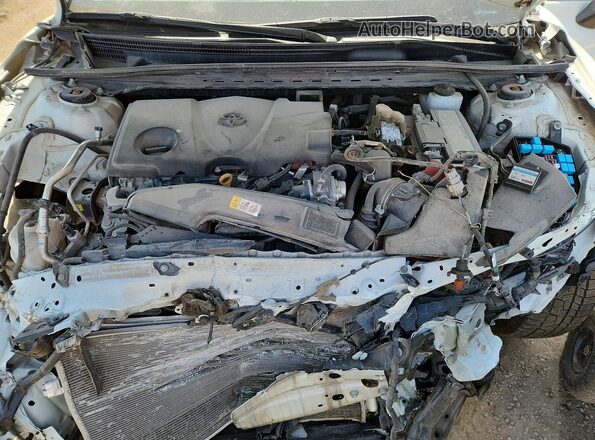 4T1G11BK4PU095113 2023 TOYOTA CAMRY White უკანა სალონის ხედი