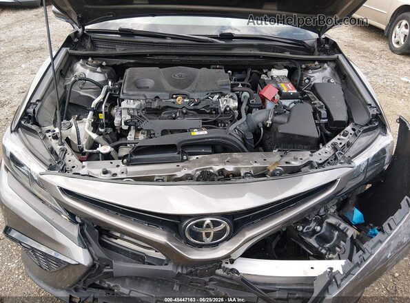 4T1G11BK5MU027334 2021 TOYOTA CAMRY Gray Vista trasera
