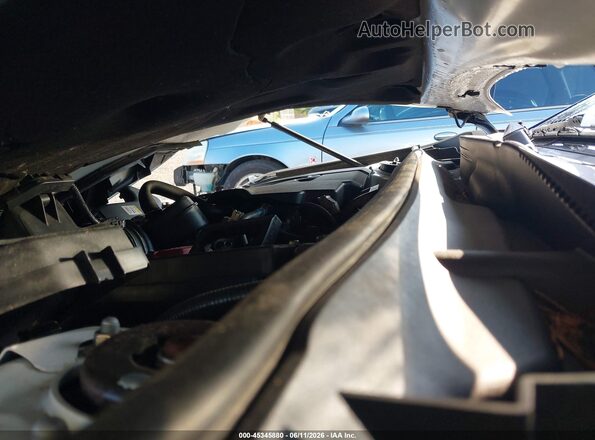 4T1L11BK3LU016135 2020 TOYOTA CAMRY Белый Вид сзади